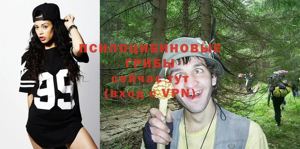 ешки Горняк