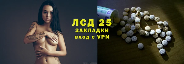 ешки Горняк