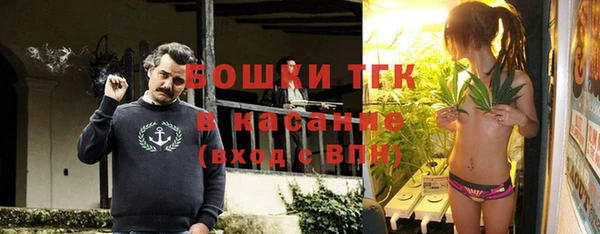ешки Горняк