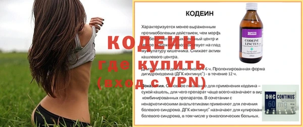 ешки Горняк