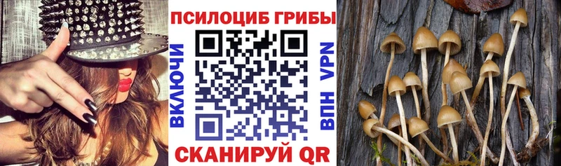 Псилоцибиновые грибы ЛСД  Купить закладки  Малаховка 